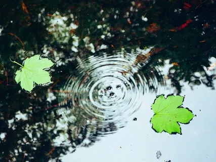 Tension & Release Guided Meditation 