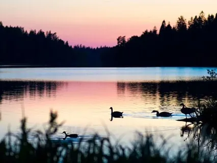 Progressive Muscle Relaxation