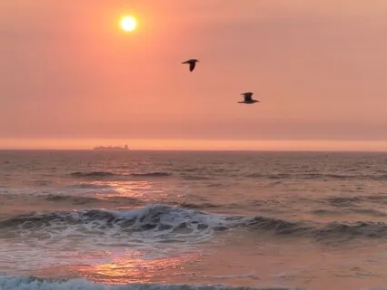 Progressive Muscle Relaxation