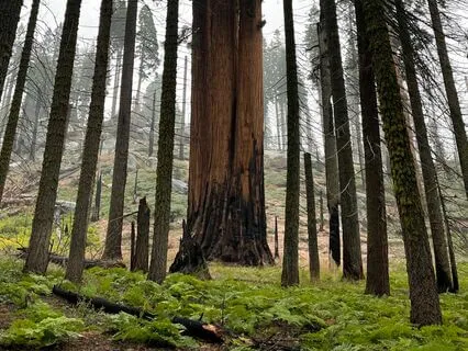 Progressive Muscle Relaxation: 5-Minute Meditation