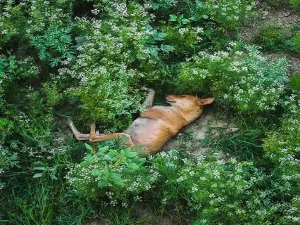 Progressive Muscle Relaxation 8-Hour Deep Sleep