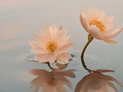 Progressive Muscle Relaxation And Integrated Parts Work