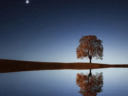 Progressive Muscle Relaxation (E)