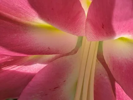 Progressive Muscle Relaxation Exercise