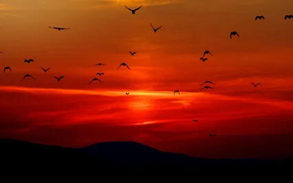 Progressive Muscle Relaxation For Anxiety & Stress