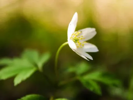 Progressive Muscle Relaxation For Anxiety