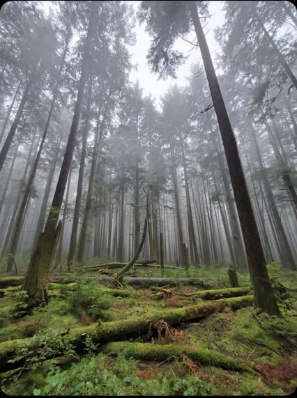 Progressive Muscle Relaxation For Bedtime