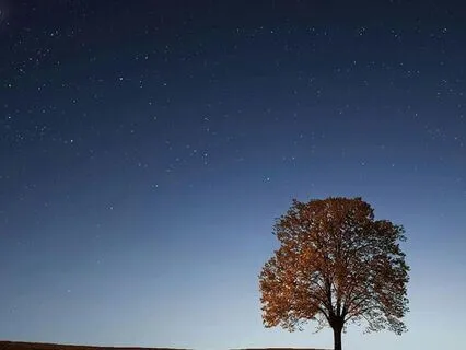 Progressive Muscle Relaxation For Deep Sleep