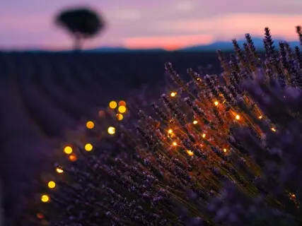 Progressive Muscle Relaxation For Sleep