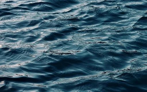 Progressive Muscle Relaxation (Mini Version)