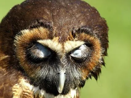 Progressive Muscle Relaxation  (PMR) For Deep Sleep