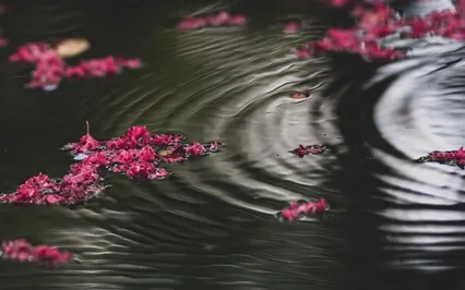 Progressive Muscle Relaxation Session