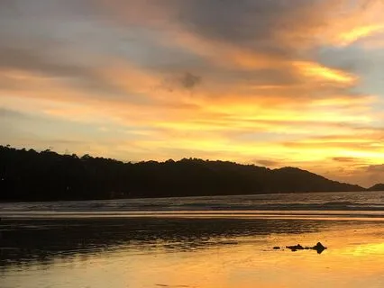 Progressive Muscle Relaxation To Calm The Body