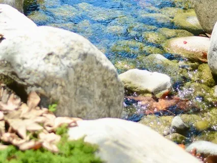 Progressive Muscle Relaxation To Prepare For Sleep