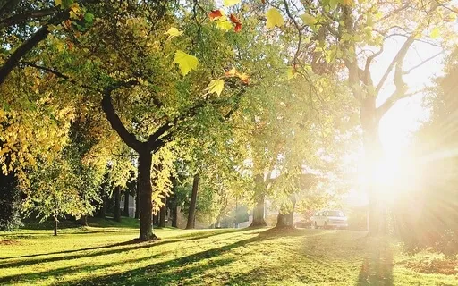 Progressive Muscle Relaxation With Paula