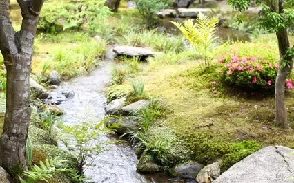 Progressive Muscle Relaxation With Running Creek Soundtrack