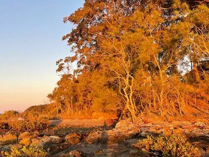 Progressive Muscle Relaxation