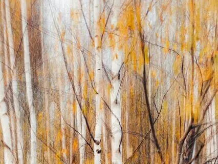 Progressive Muscle Relaxation W Affirmations