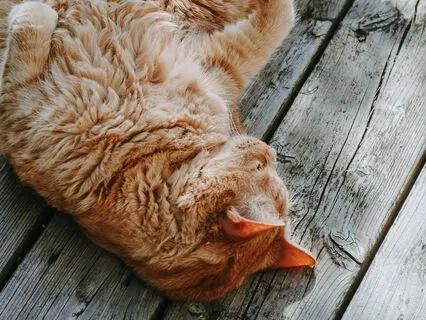 Progressive Muscle Relaxation