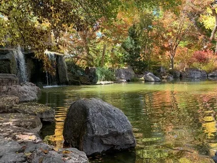 Progressive Muscle Relaxation With Light Muscle Tension