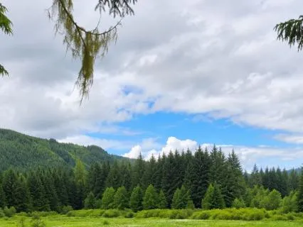 Progressive Muscle Relaxation