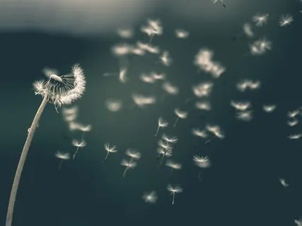 Return: Progressive Muscle Release