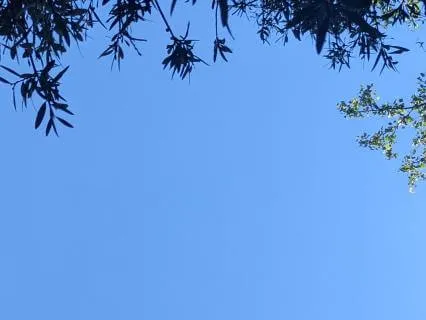 Progressive Relaxation - 15mins
