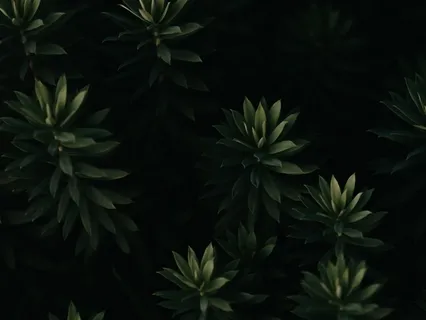 Progressive Relaxation Of The Body For Managing Stress