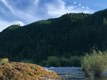 Progressive Relaxation