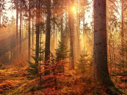 Progressive Relaxation For Work Stress Relief