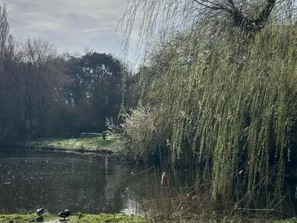 Progressive Relaxation Immersed In Alchemy Crystal Bowls