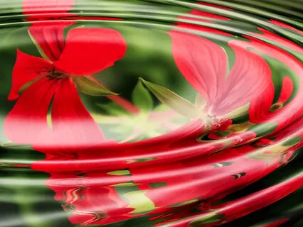 Progressive Relaxation Meditation