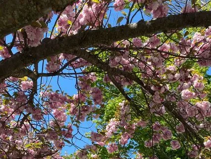 Progressive Relaxation Meditation