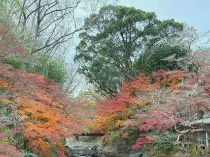 Projection Of The Mind