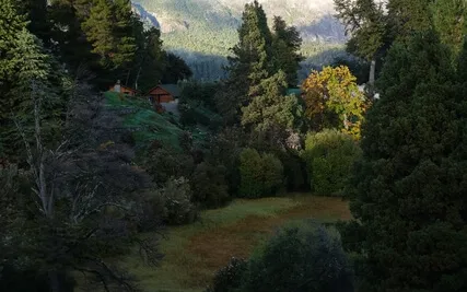 Projector (Human Design) - Meditation 