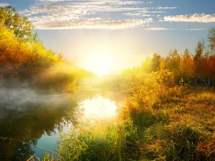 Projector (Human Design) Meditation