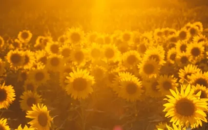 Promise Yourself: The Optimist Creed-  Christian D. Larson 