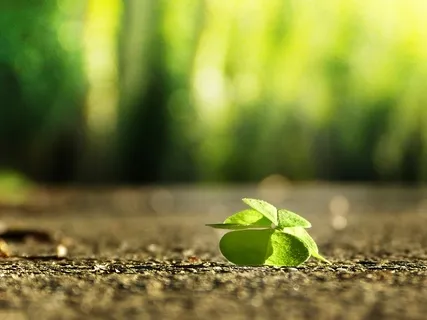 Promoting Feelings Of Adequacy