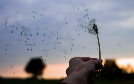 Prone Breathing Meditation Practice