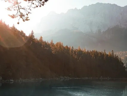 Проработка Cтрахов 