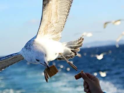 Прощай, Усталость. Практика Избавления от Усталости 