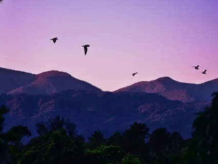 Прощание с Прошлым