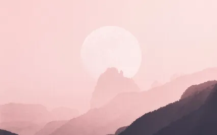 Prosper And Flourish: Meditative Drones