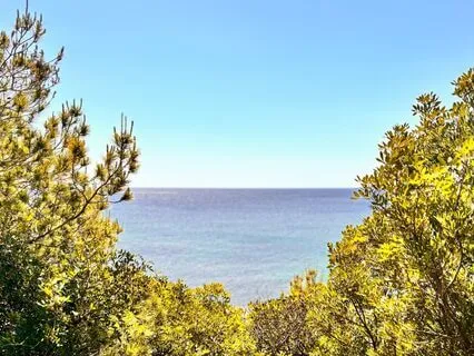 Prosperity & Abundance Affirmations