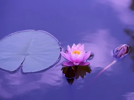 Prosperity Affirmations