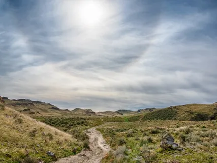 Prosperity And Love From Sun & Earth