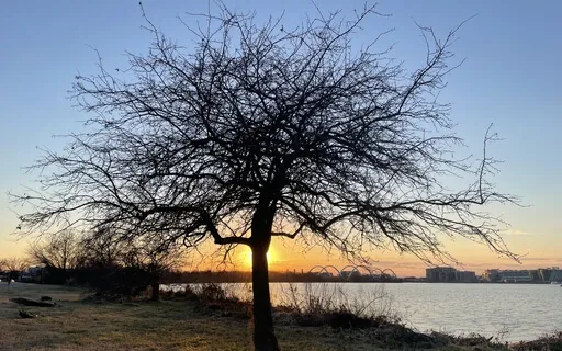 Prosperity Declaration #4