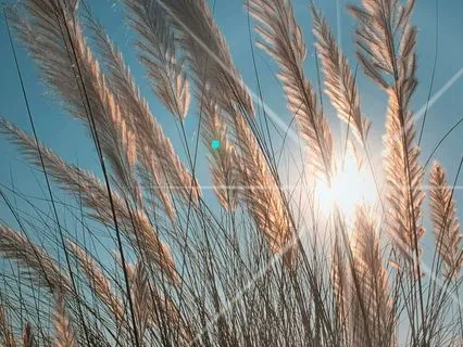 Prosperity In Every Breath