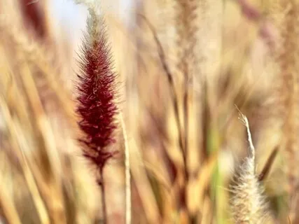 Prosperity Practices - Weekly Energy Boost