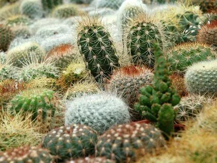 Protect From Negativity Of Others